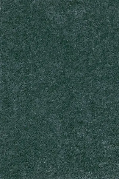 Ковровое покрытие AW Fedone 73 - (5м)